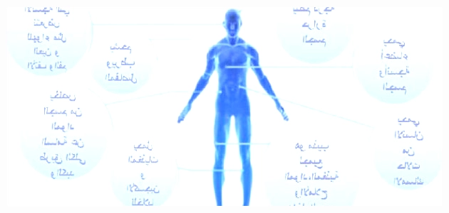 أهمية الماء في جسم الإنسان